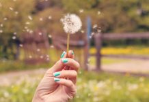 20 de citate inspirationale pentru a mentine lucrurile in perspectiva